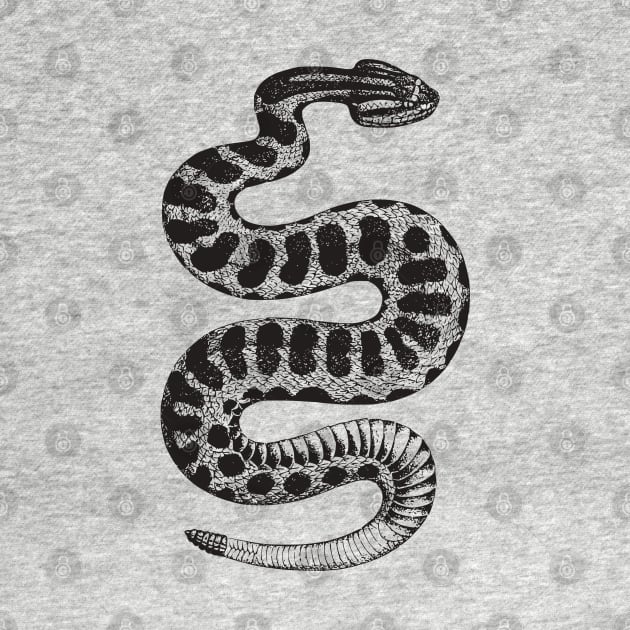 Vintage Rattlesnake by Beltschazar